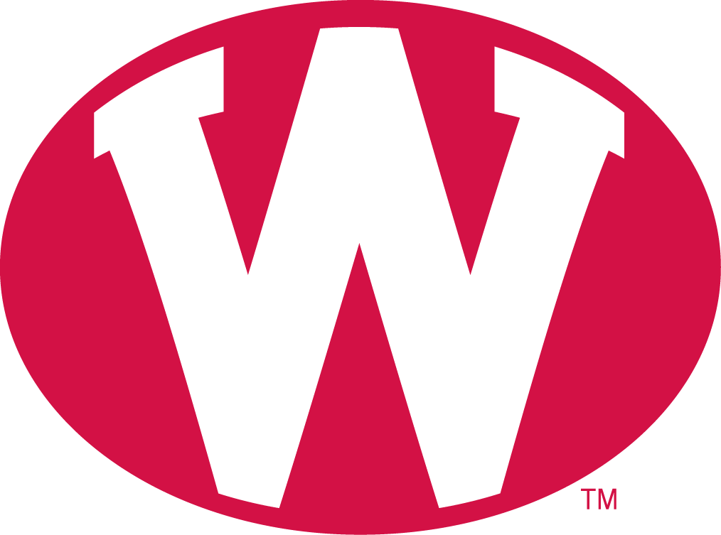 Wisconsin Badgers 1972-1977 Alternate Logo diy iron on heat transfer